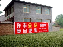 江山如何让墙体广告展现最大化效果