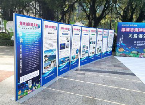 江山KT板的种类和知识。